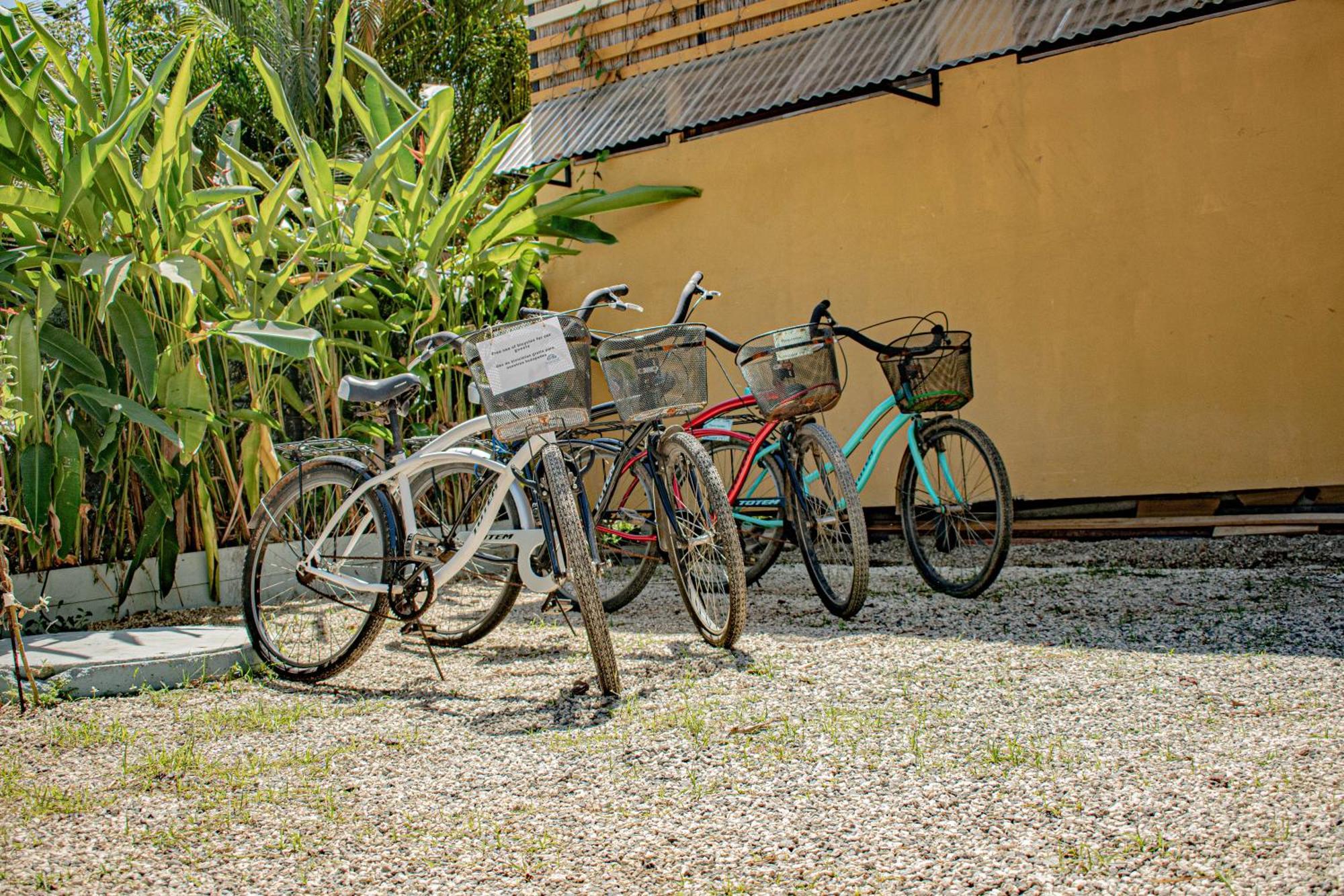Habitat Surf Glamp Hotel Playa Santa Teresa  Bagian luar foto